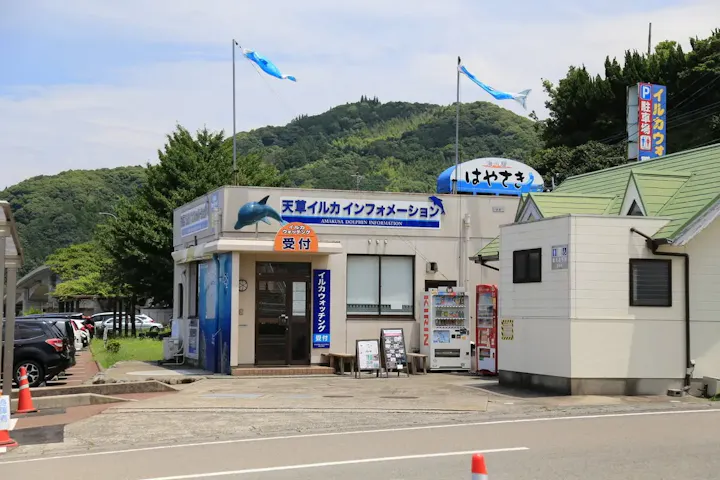 安心安全のガイド付きツアーで学べる!