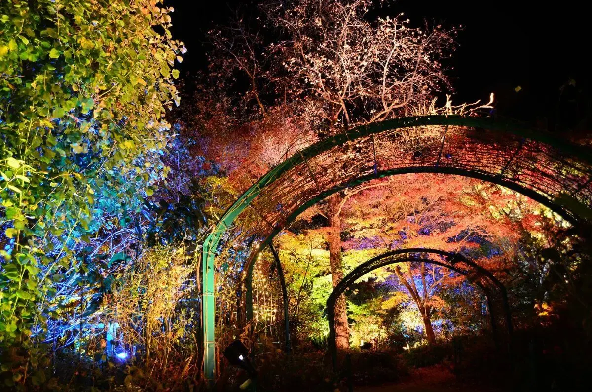 北川村「モネの庭」マルモッタン(写真 4)