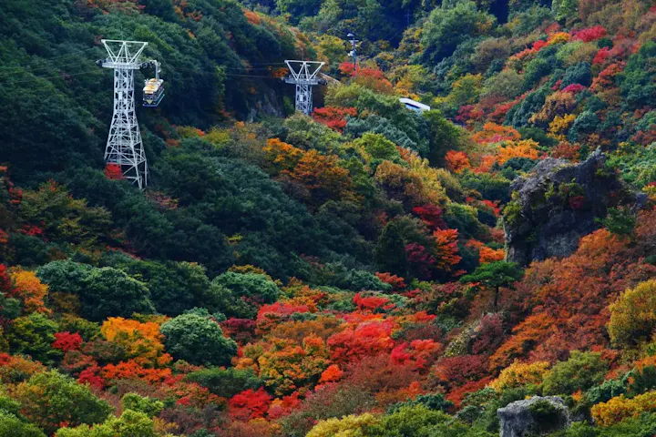 紅葉の名所として有名