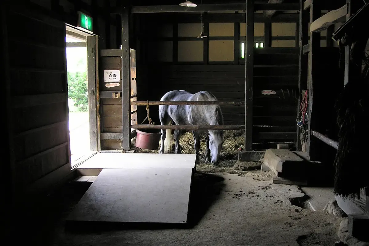 遠野ふるさと村（写真 3）