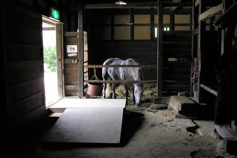 遠野ふるさと村