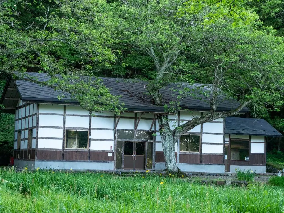 大沢温泉（写真 6）