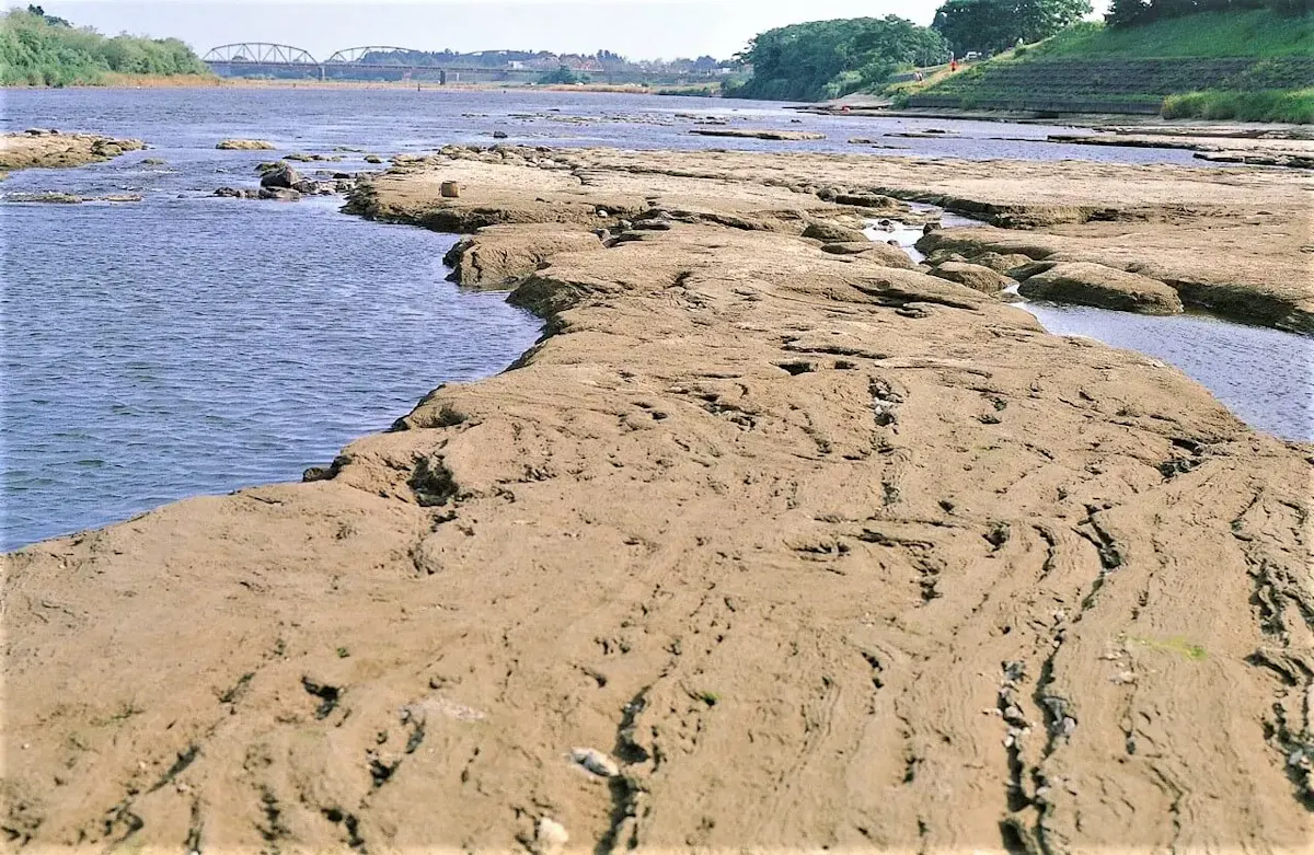 イギリス海岸