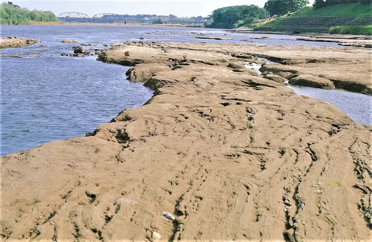 イギリス海岸