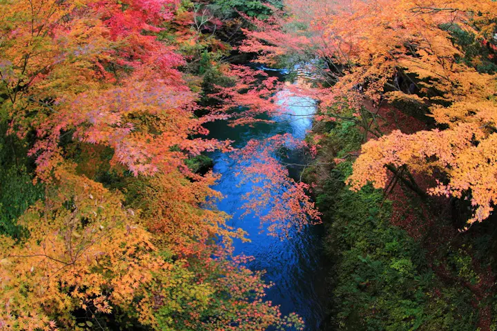 山中温泉の豊かな自然と癒し