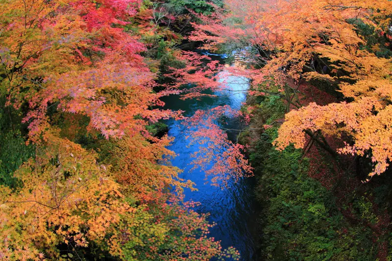 山中温泉