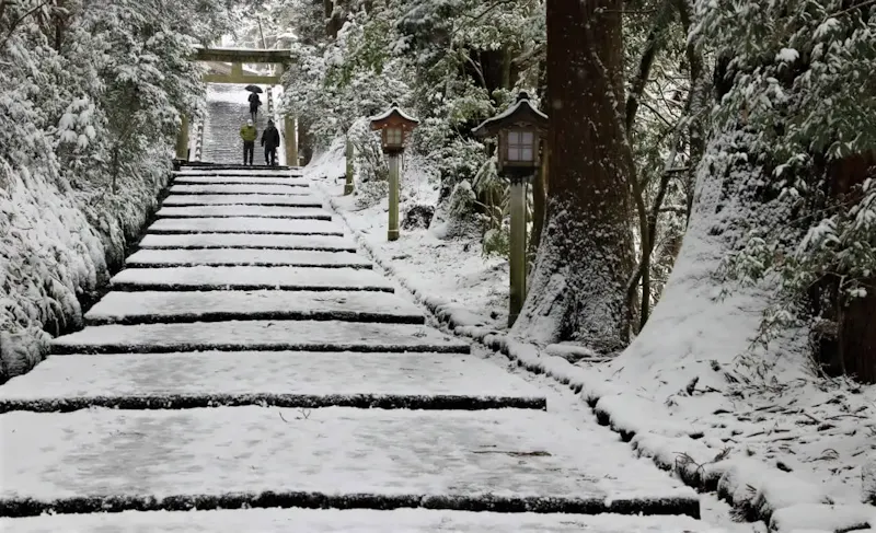 白山比め神社
