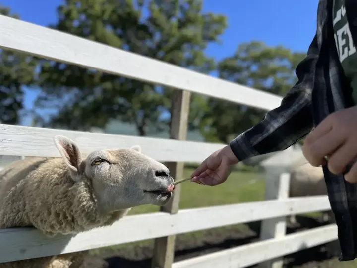 いしかわ動物園の魅力的なエサやり体験