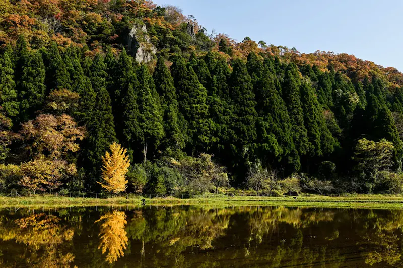粟津温泉