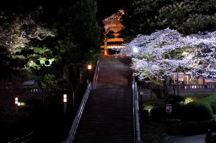 幻想的な雰囲気の夜間ライトアップ！