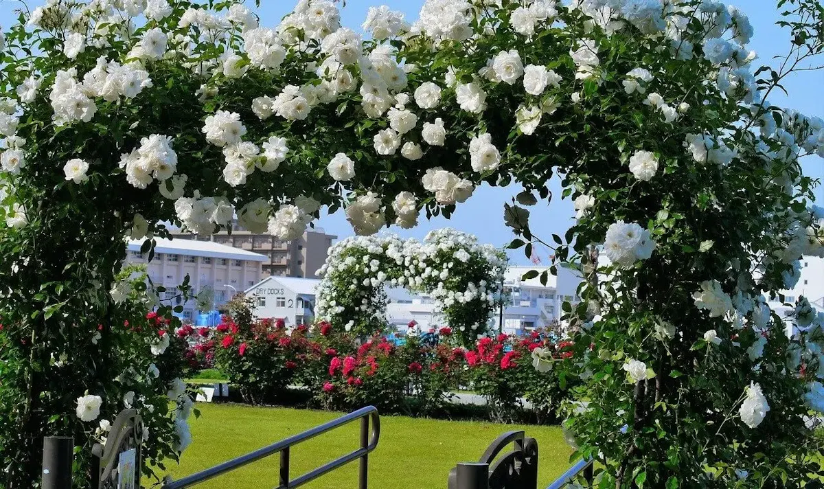 ヴェルニー公園（写真 3）