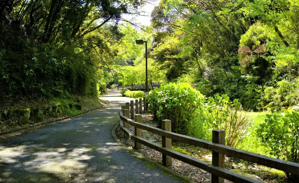 衣笠山公園（写真 2）