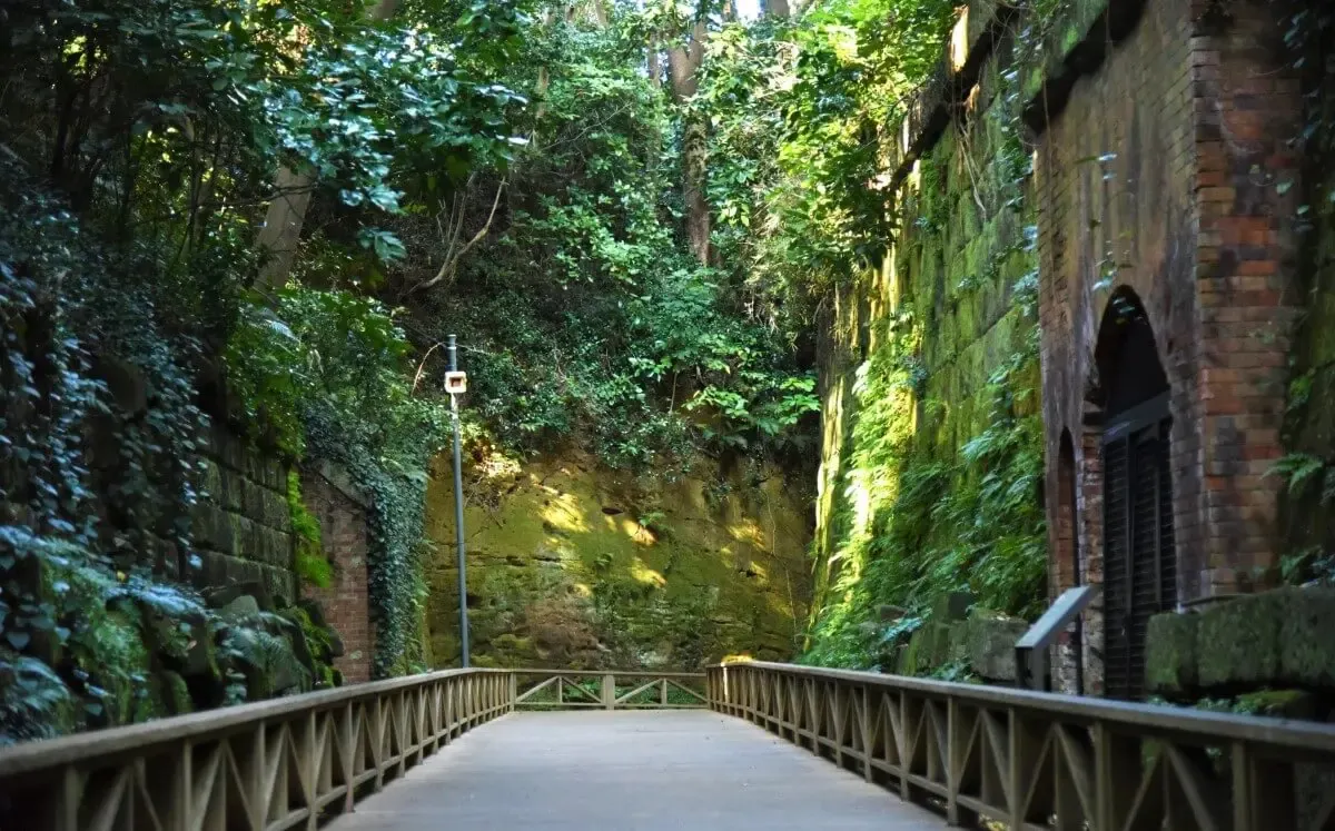 猿島（写真 3）