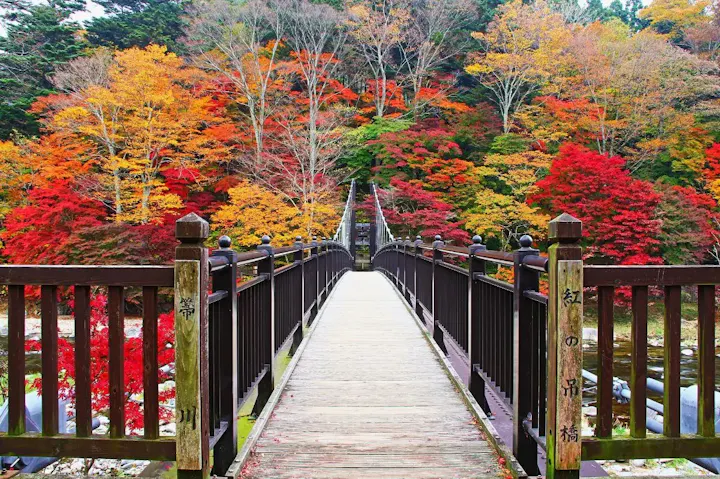 渓谷や紅葉を楽しめる「紅の吊橋」