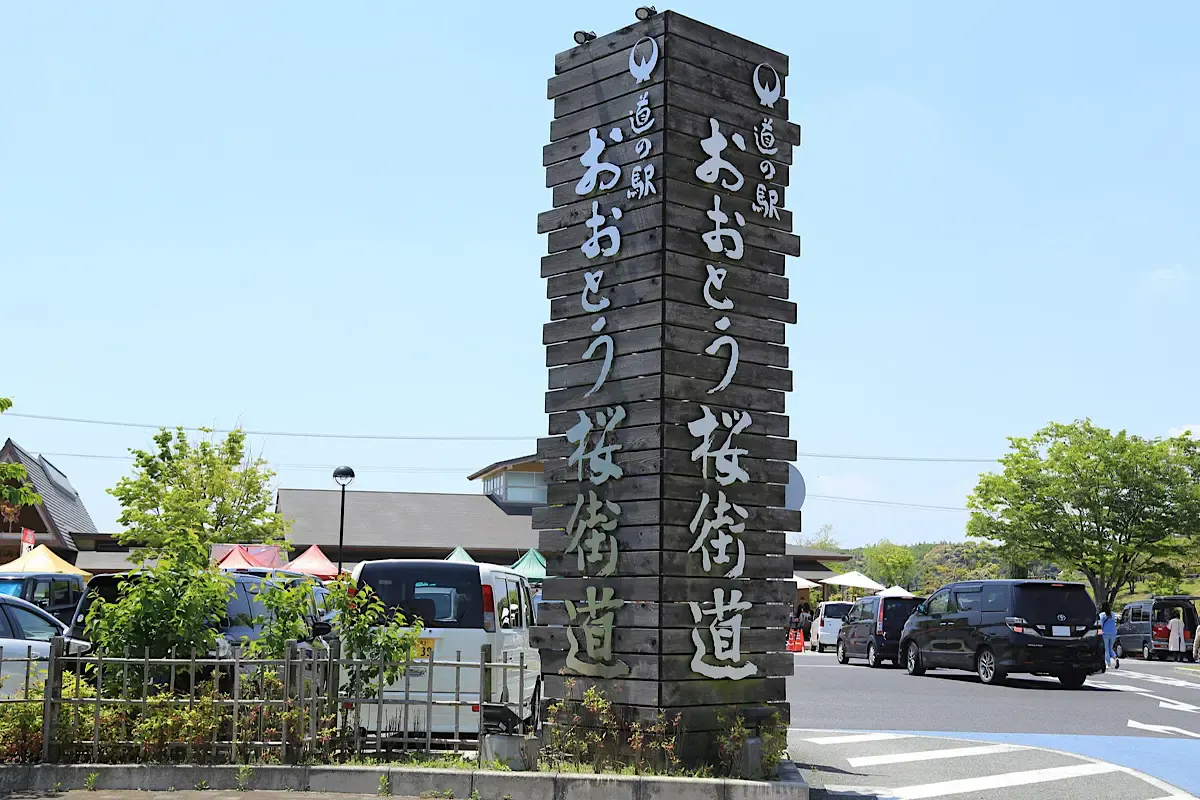 おおとう桜街道