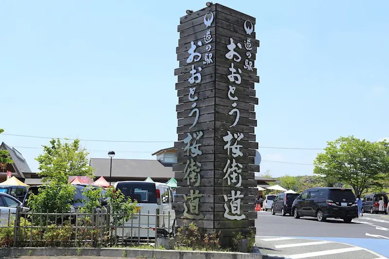 おおとう桜街道