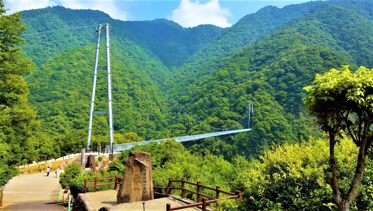 照葉大吊橋