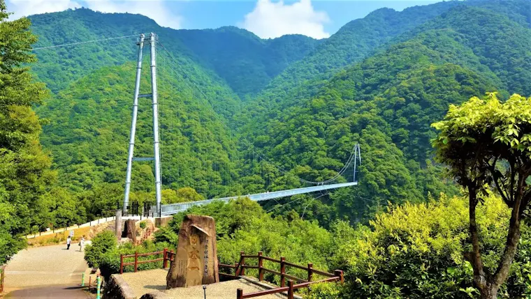 照葉大吊橋