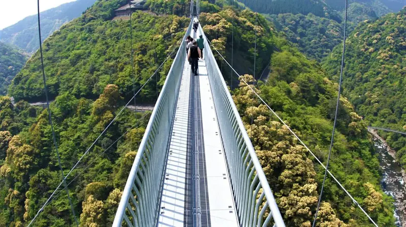 照葉大吊橋