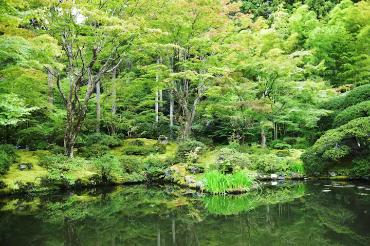 江戸時代初期の美しい建築物「円通院」
