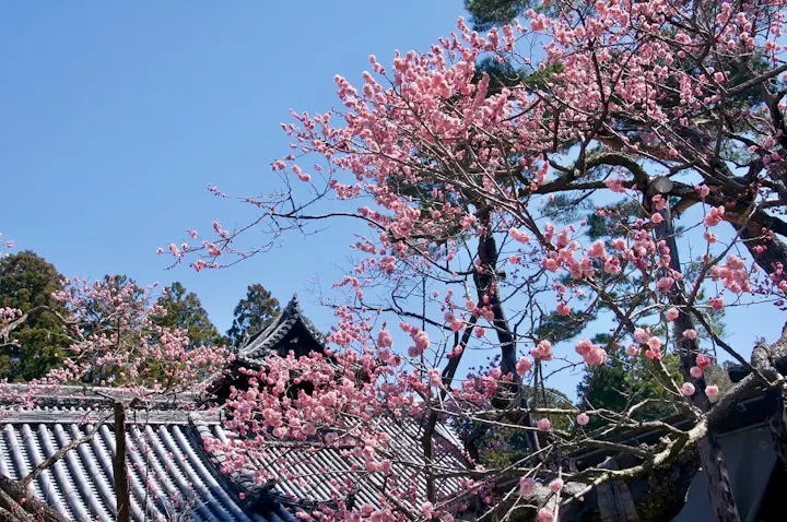 四季折々の美しい景色を楽しむ