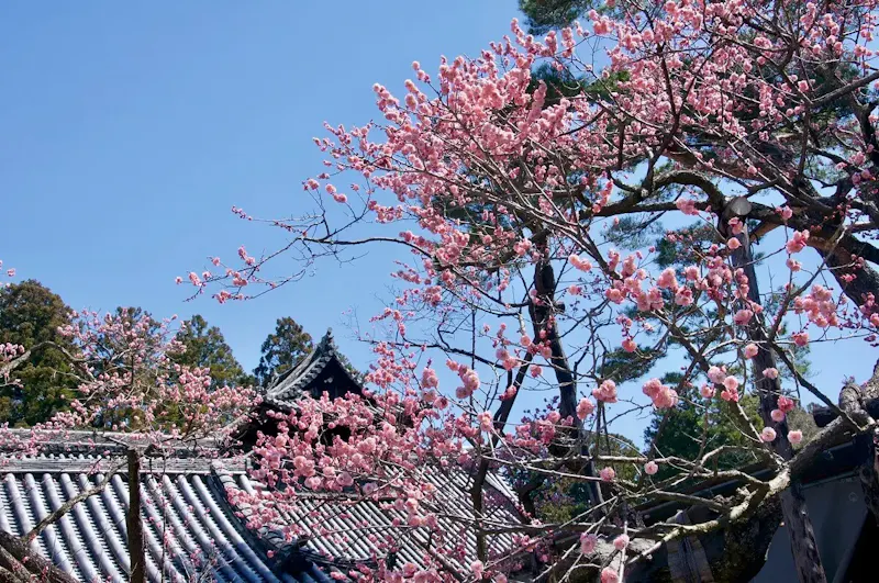 瑞巌寺