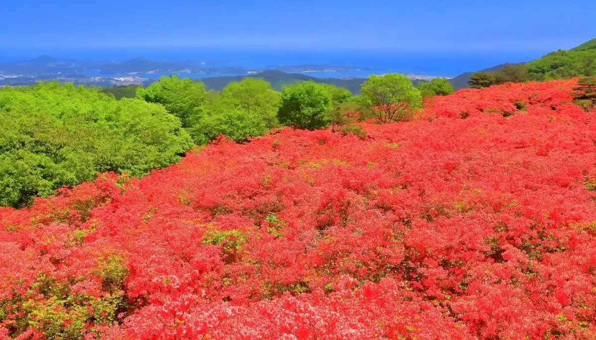 徳仙丈山（写真 6）
