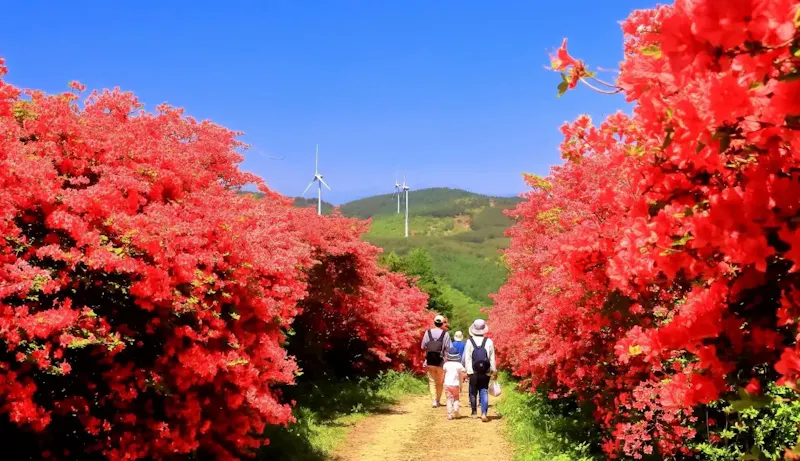 徳仙丈山