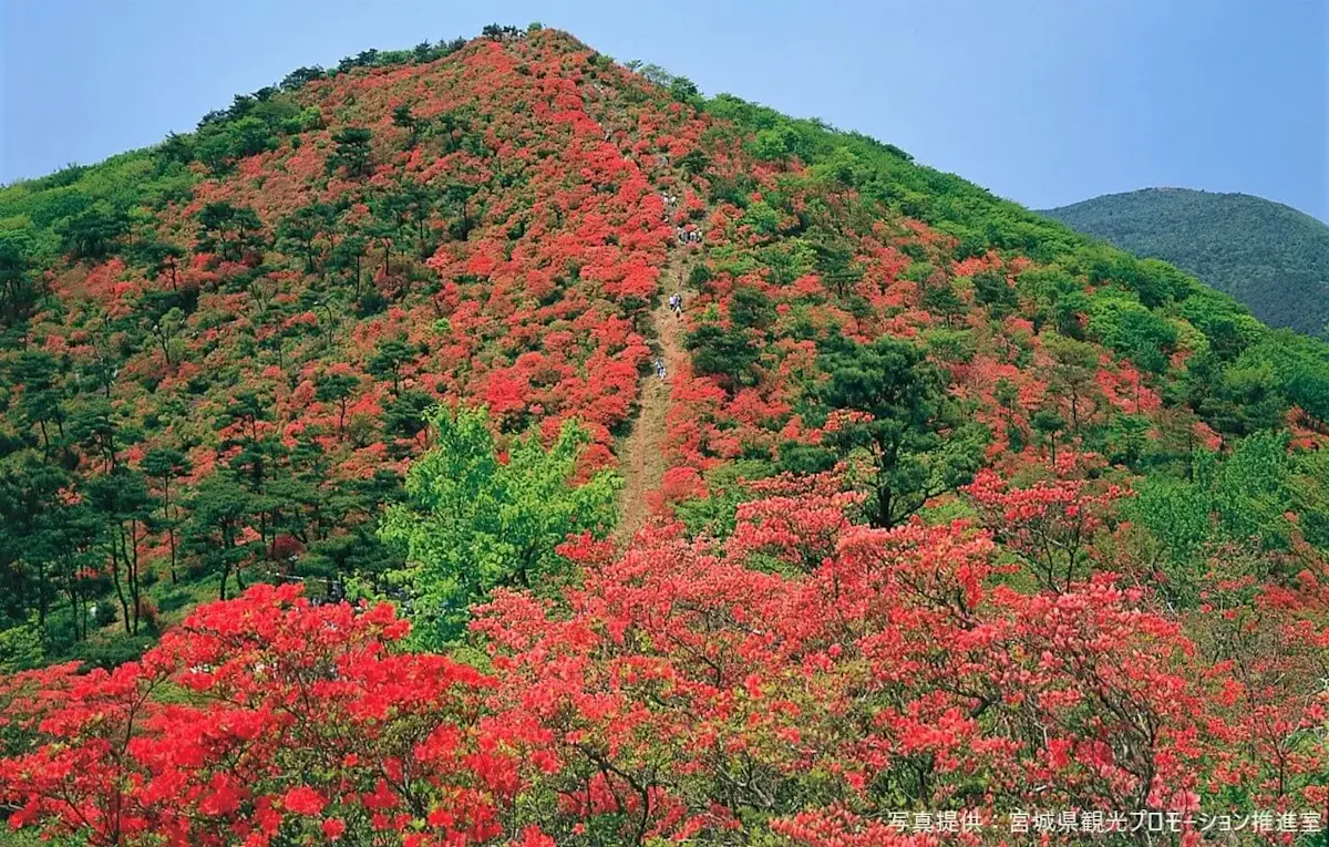 徳仙丈山（写真 4）