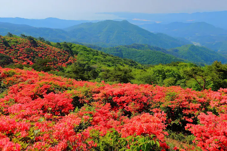 徳仙丈山