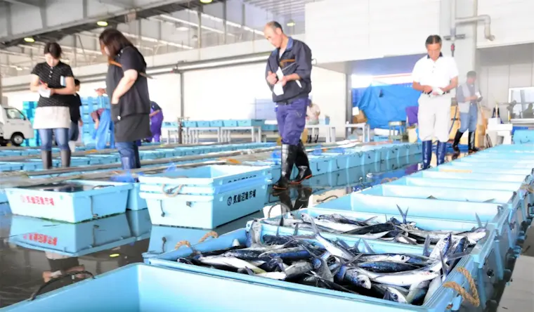 気仙沼市魚市場