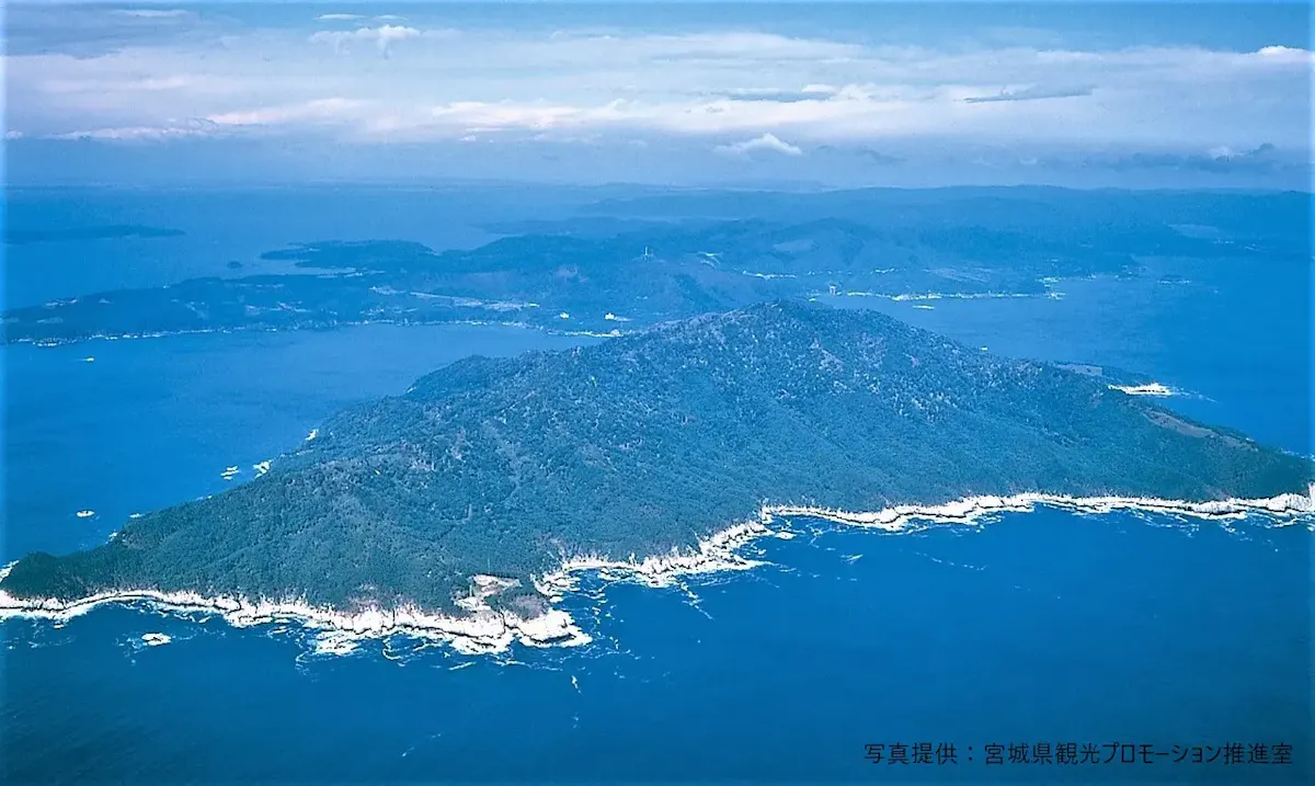 金華山（写真 3）