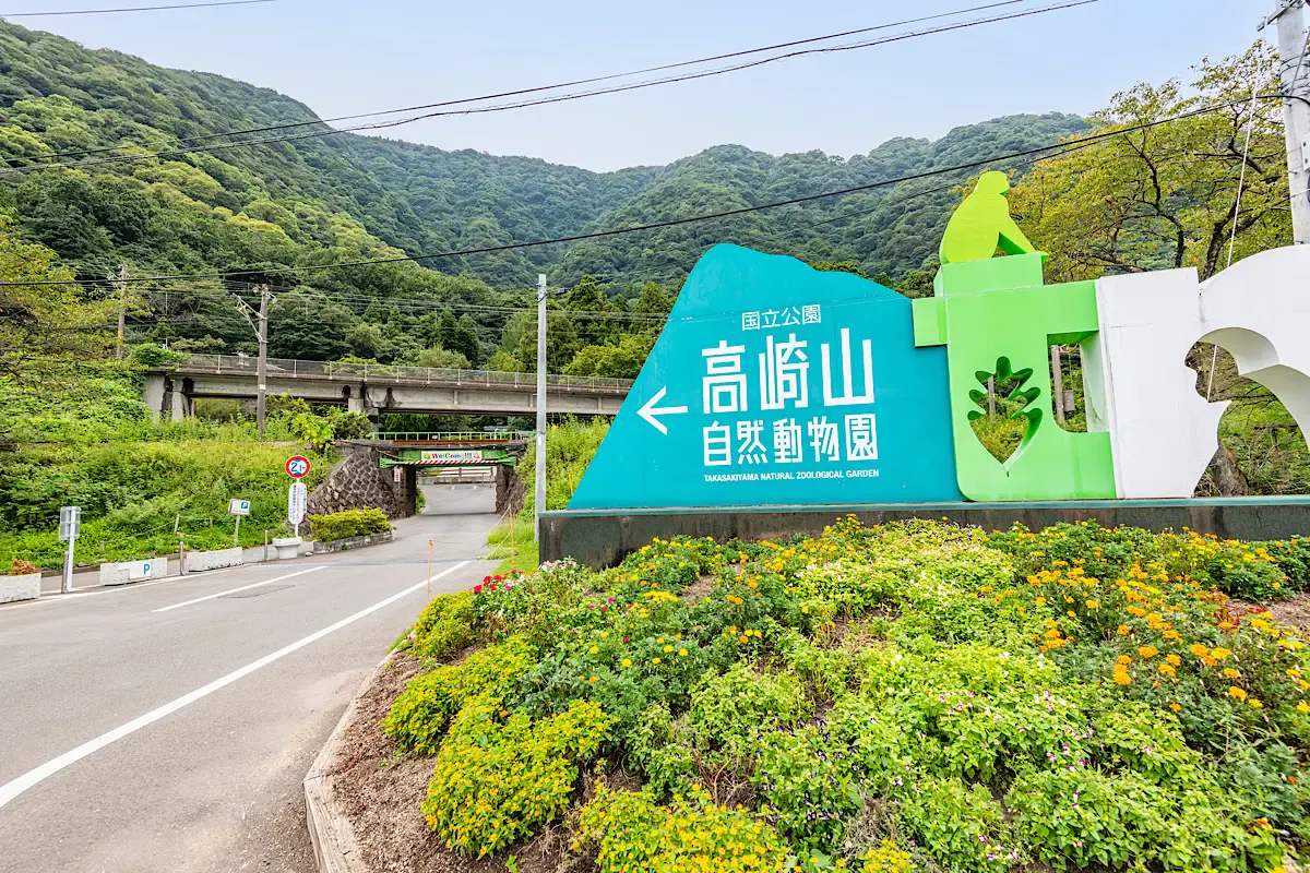 高崎山自然動物園