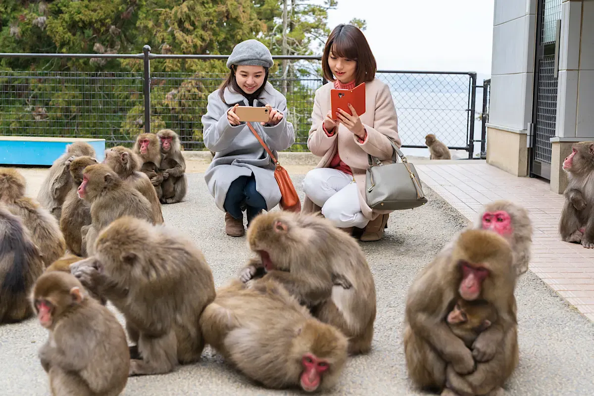 高崎山自然動物園（写真 2）