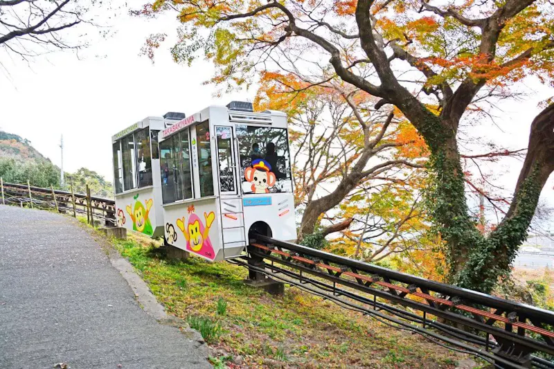 高崎山自然動物園