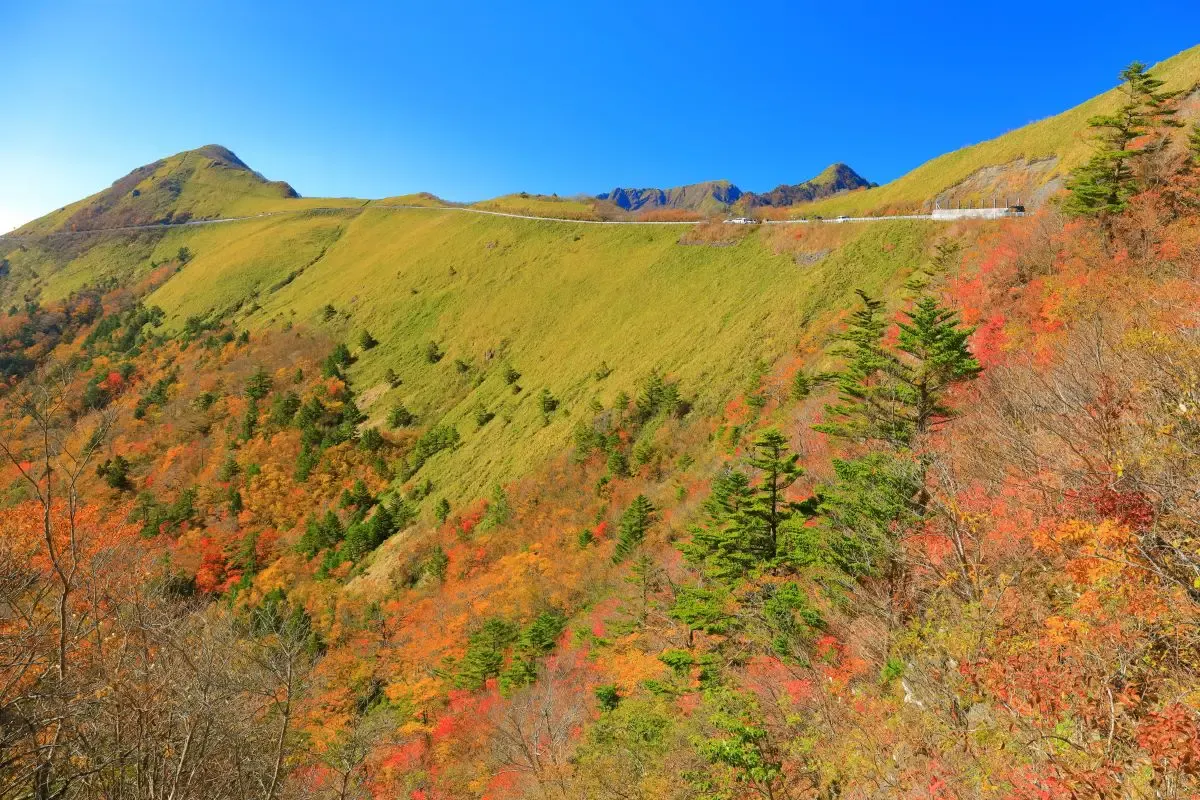 石鎚山（写真 6）