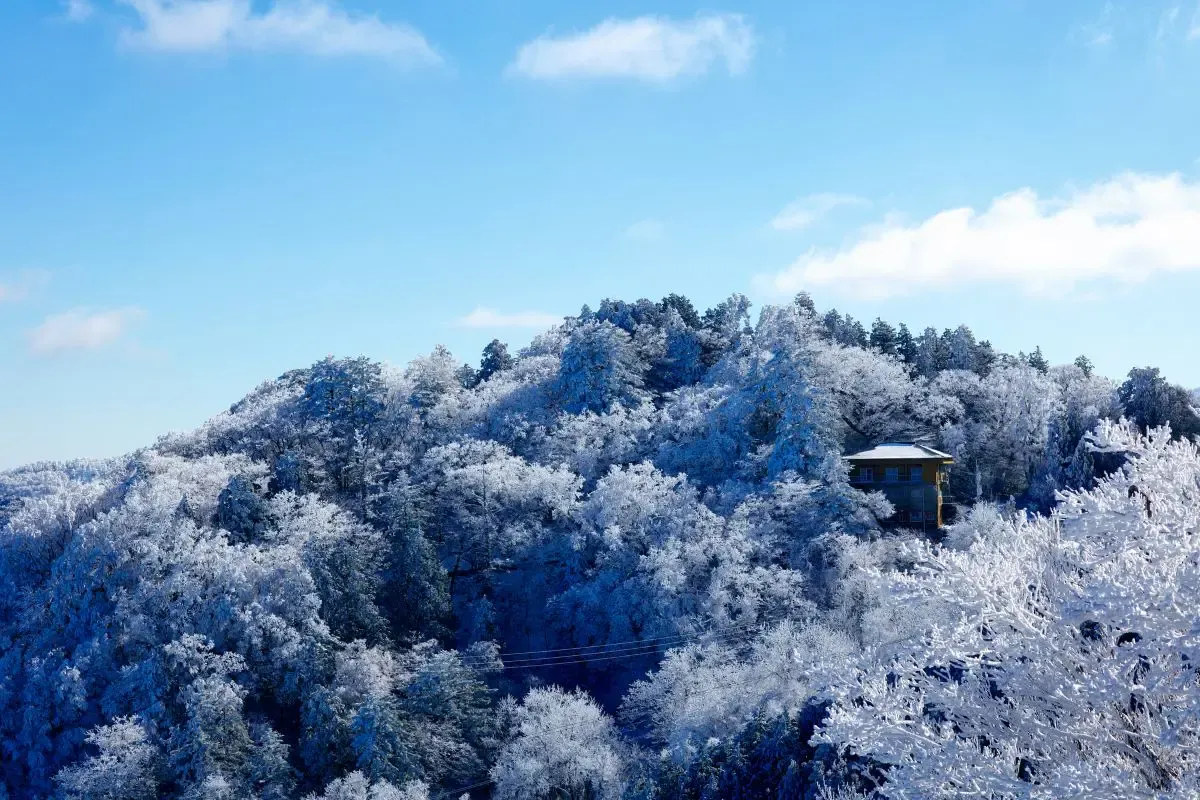 石鎚山（写真 5）