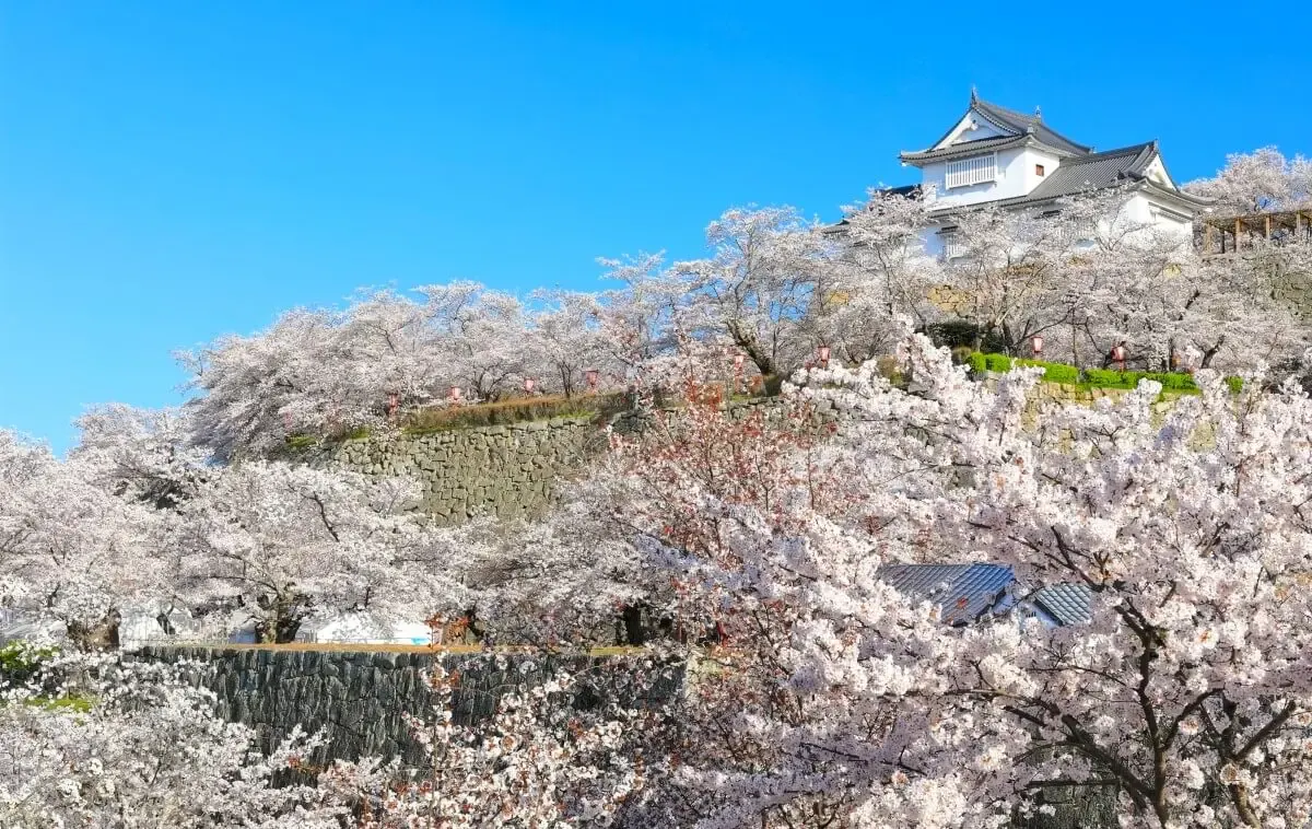 津山城跡(鶴山公園)