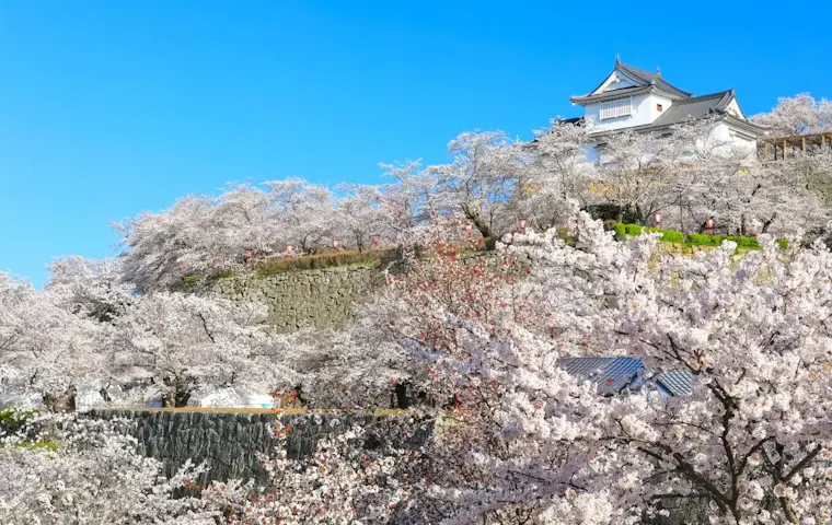 津山城跡(鶴山公園)