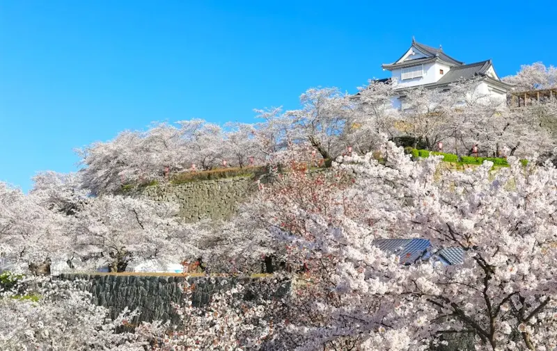 津山城(鶴山公園)