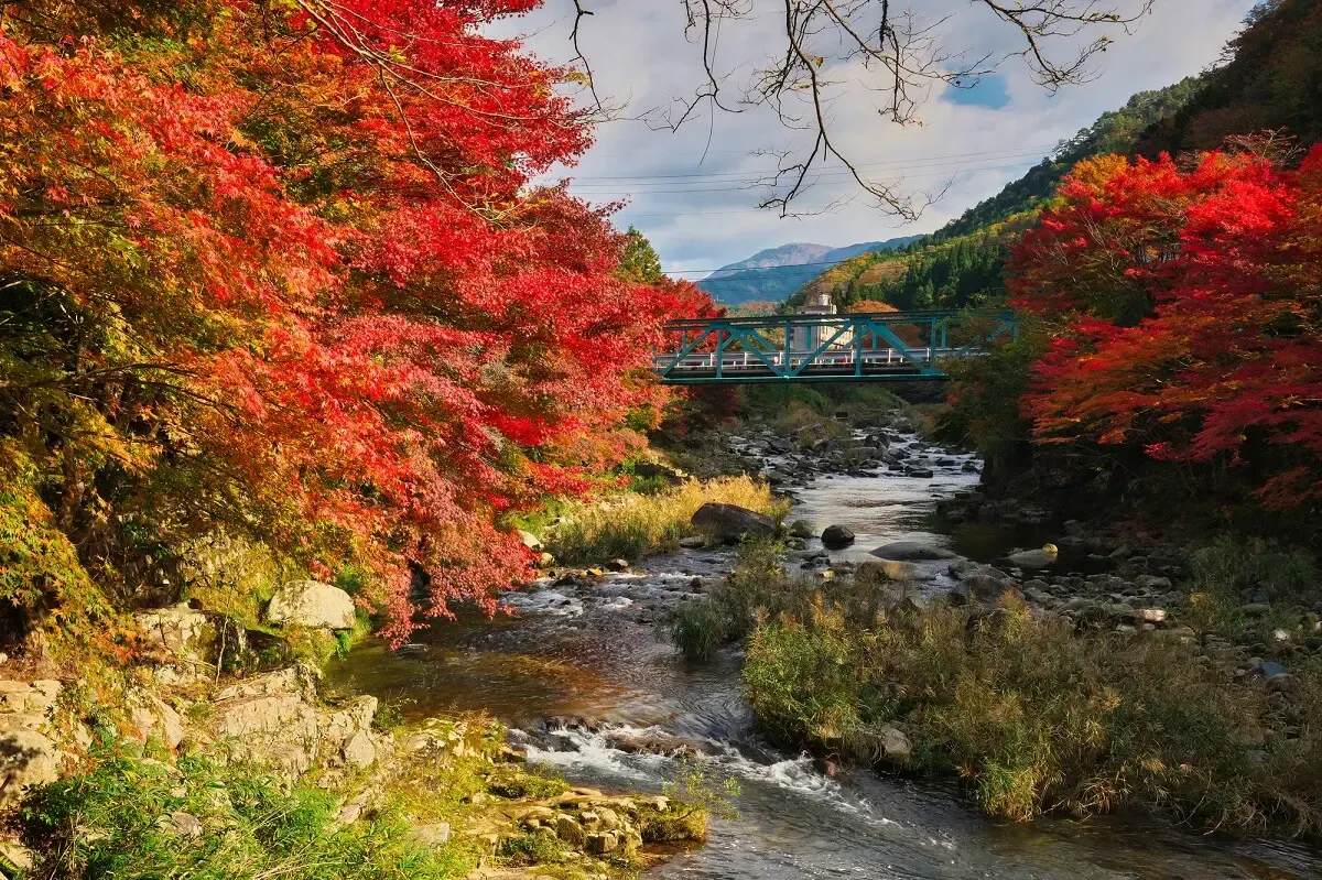 奥津温泉(写真 5)