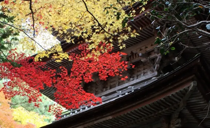 横蔵寺