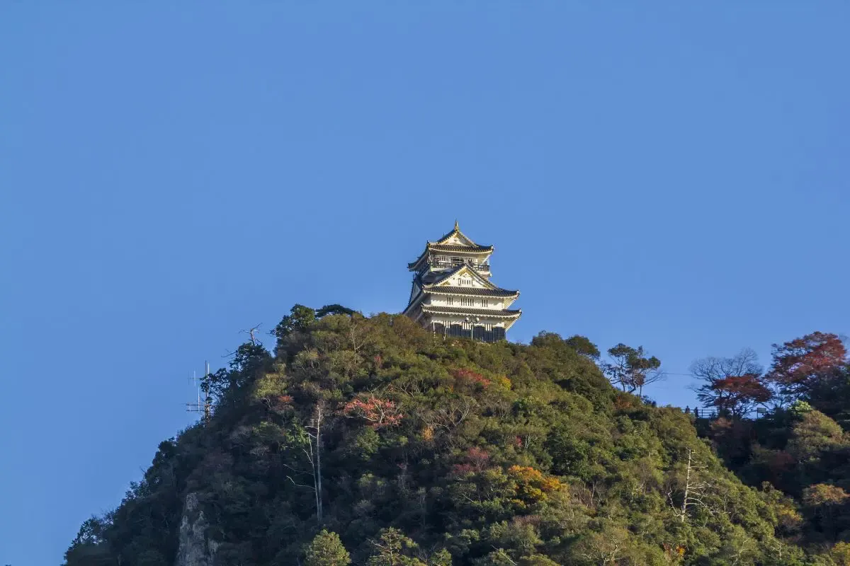 岐阜城(写真 6)