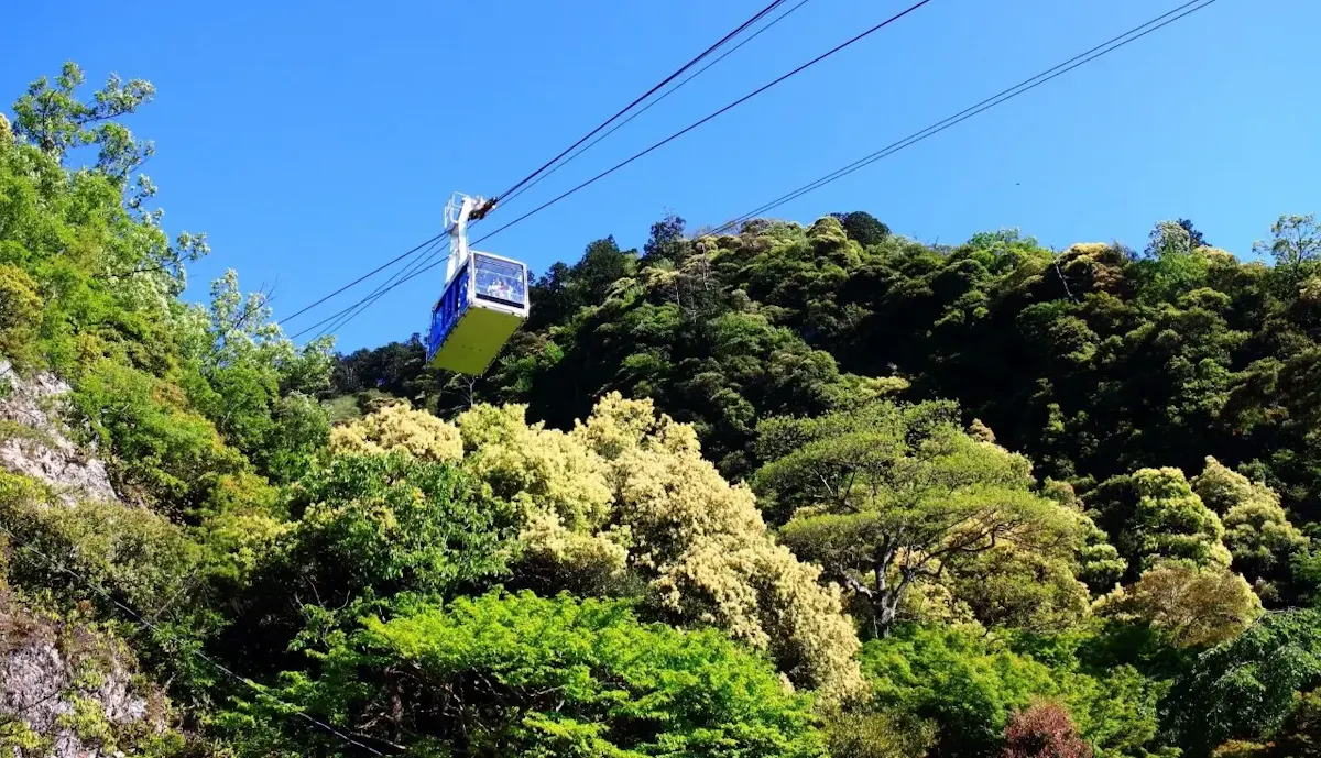 金華山ロープウェー(写真 2)