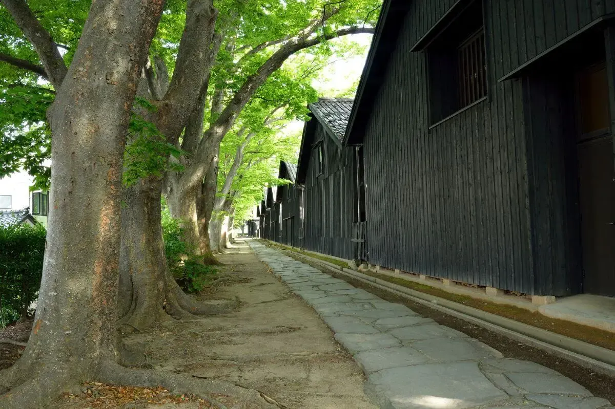 山居倉庫(写真 5)