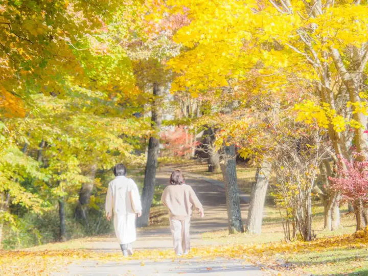 縄文公園の東側に広がる縄文の森!
