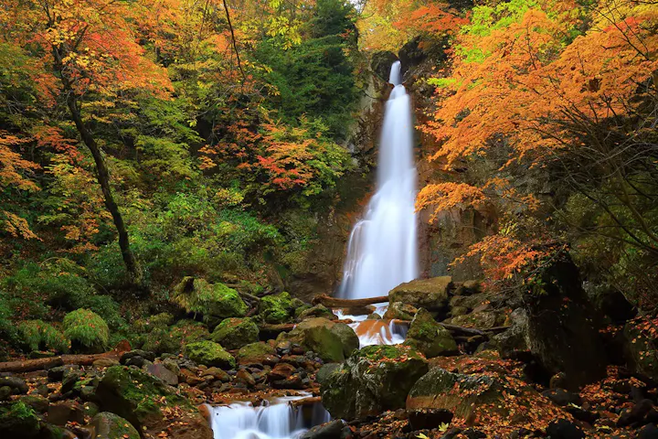 落差約30mの水量が多く迫力のある直瀑!