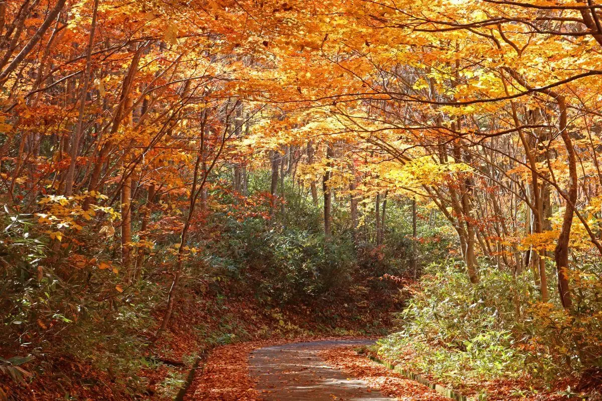 松川温泉(写真 3)