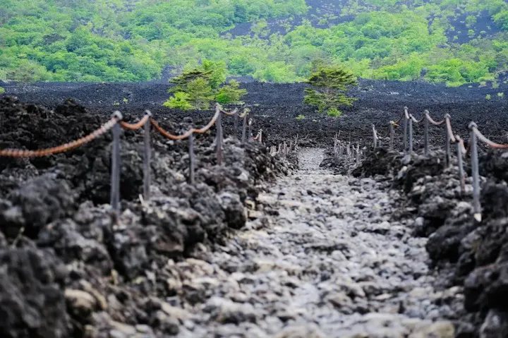 黒い岩石帯を散策できる熔岩流散策路コース