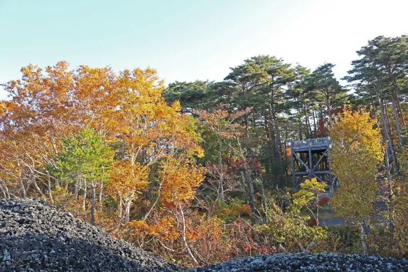 焼走り溶岩流
